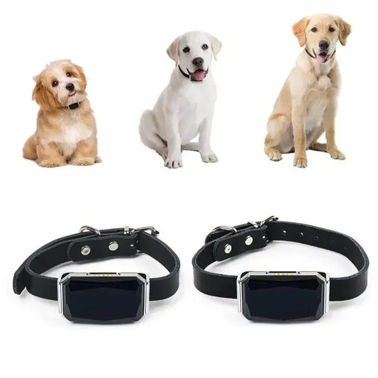 Collier GPS étanche IP67 pour chiens et chats - Traceur Wi-Fi anti-perte