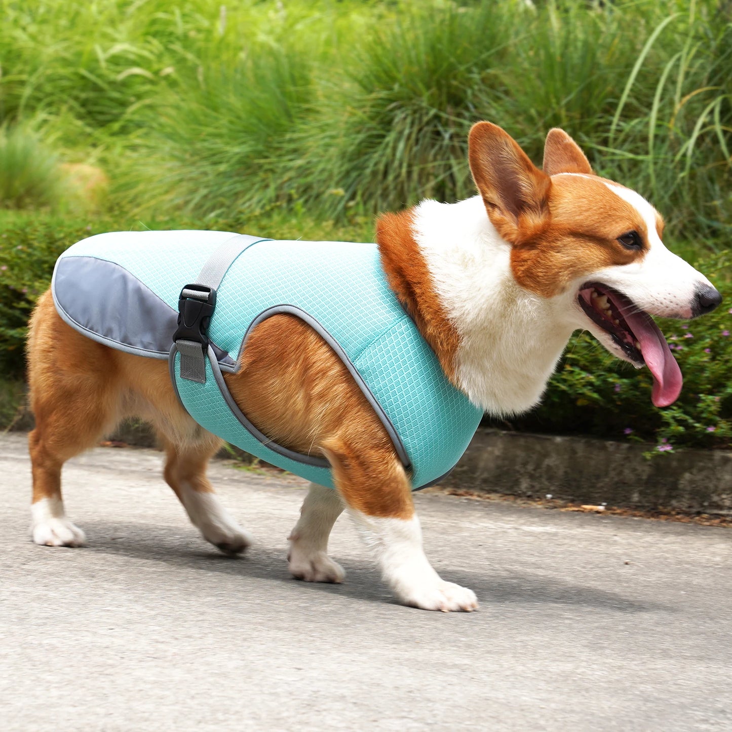Gilet Rafraîchissant Frimousse™ — Veste Légère Anti-Chaleur pour Chien