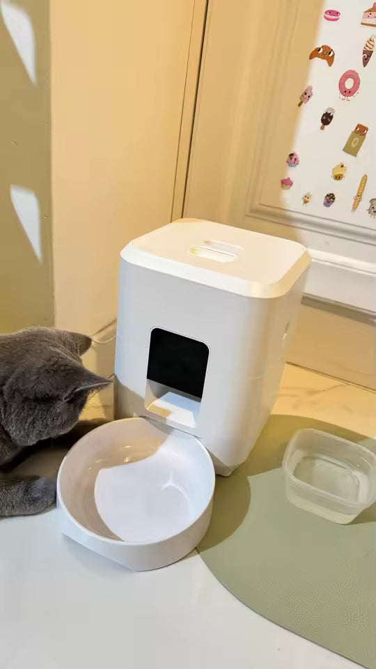 Distributeur automatique de croquettes pour chats et chiens avec minuterie