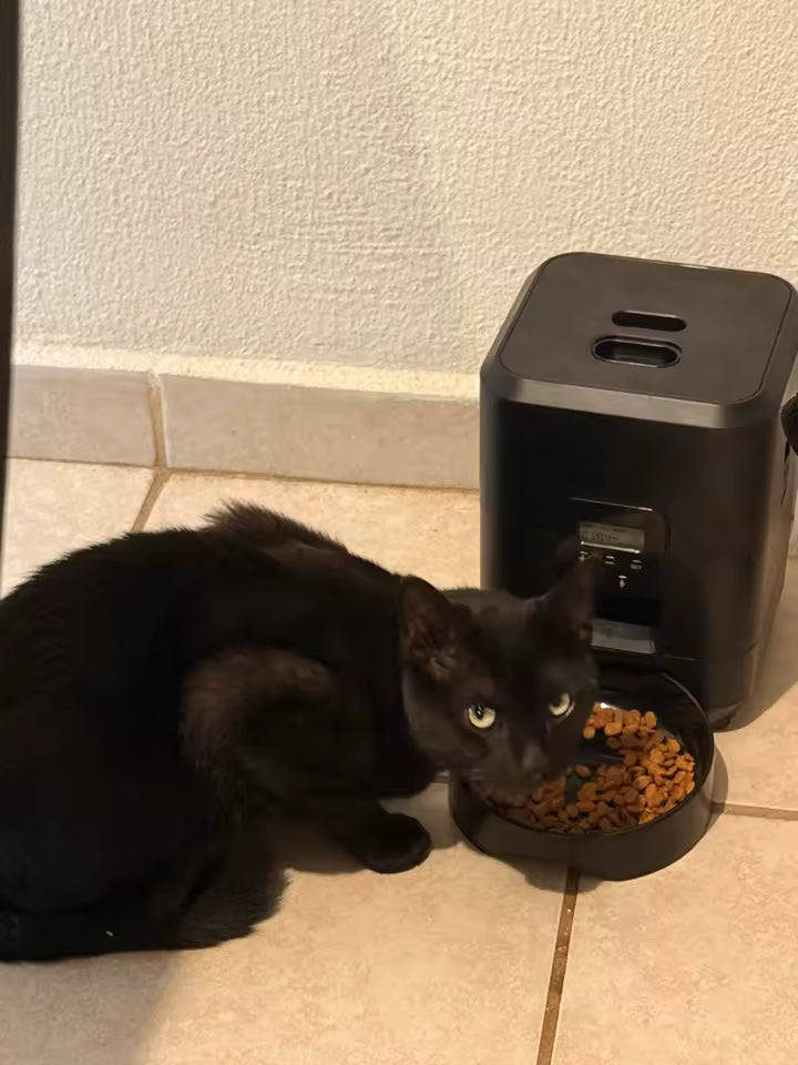 Distributeur automatique de croquettes pour chats et chiens avec minuterie