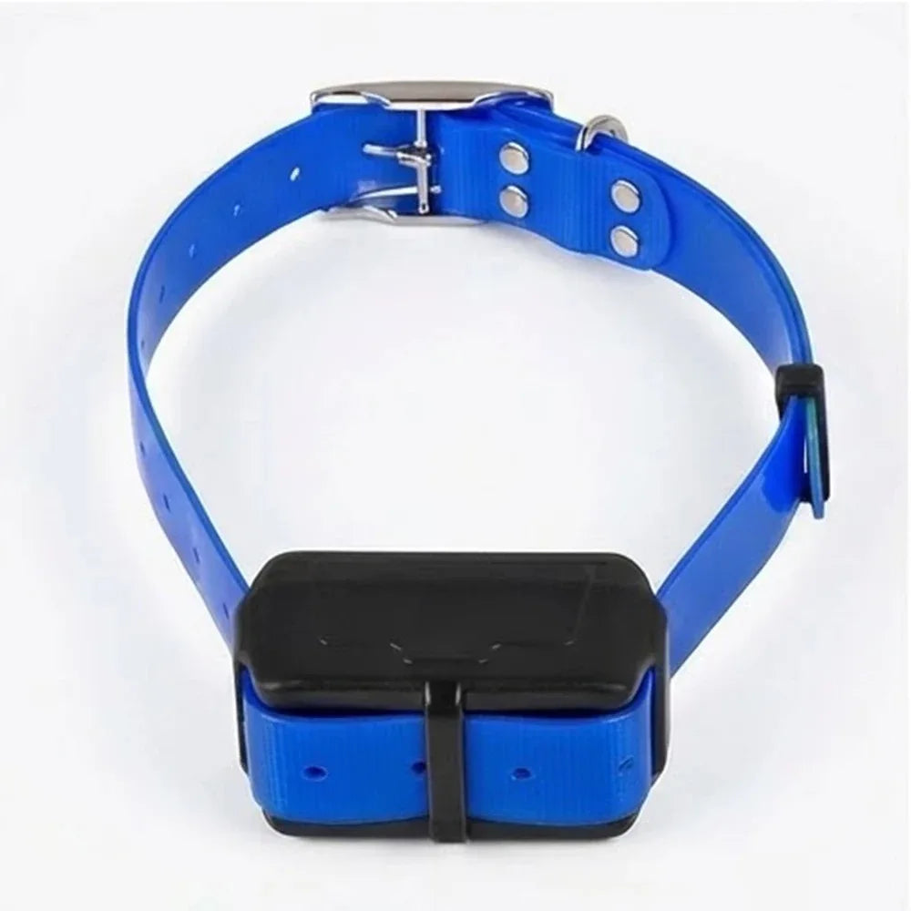 Traceur GPS 4G pour chien- Collier étanche avec géolocalisation