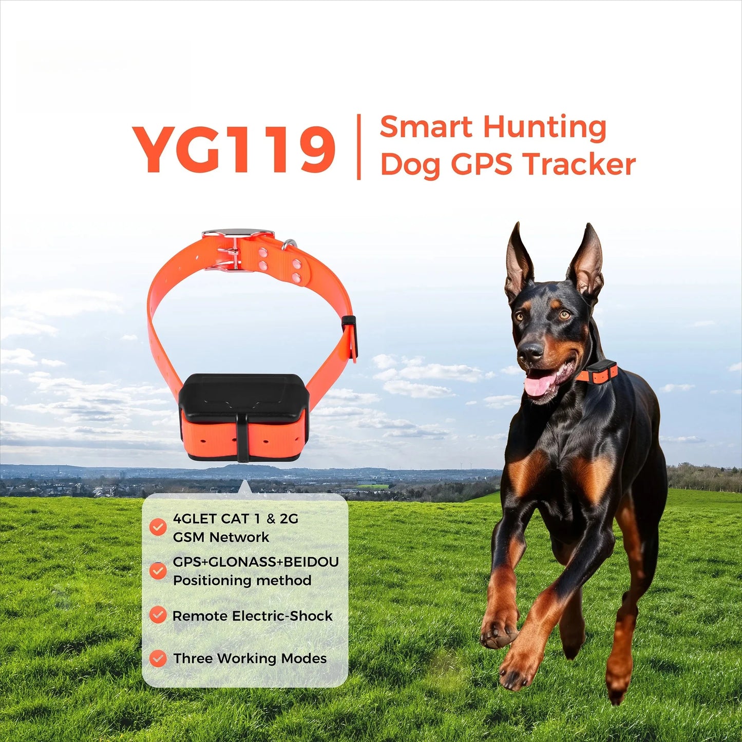 Traceur GPS 4G pour chien- Collier étanche avec géolocalisation