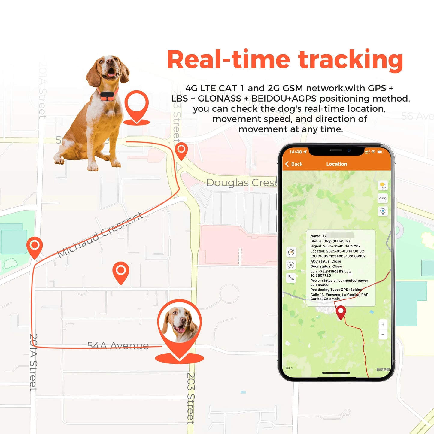 Traceur GPS 4G pour chien- Collier étanche avec géolocalisation