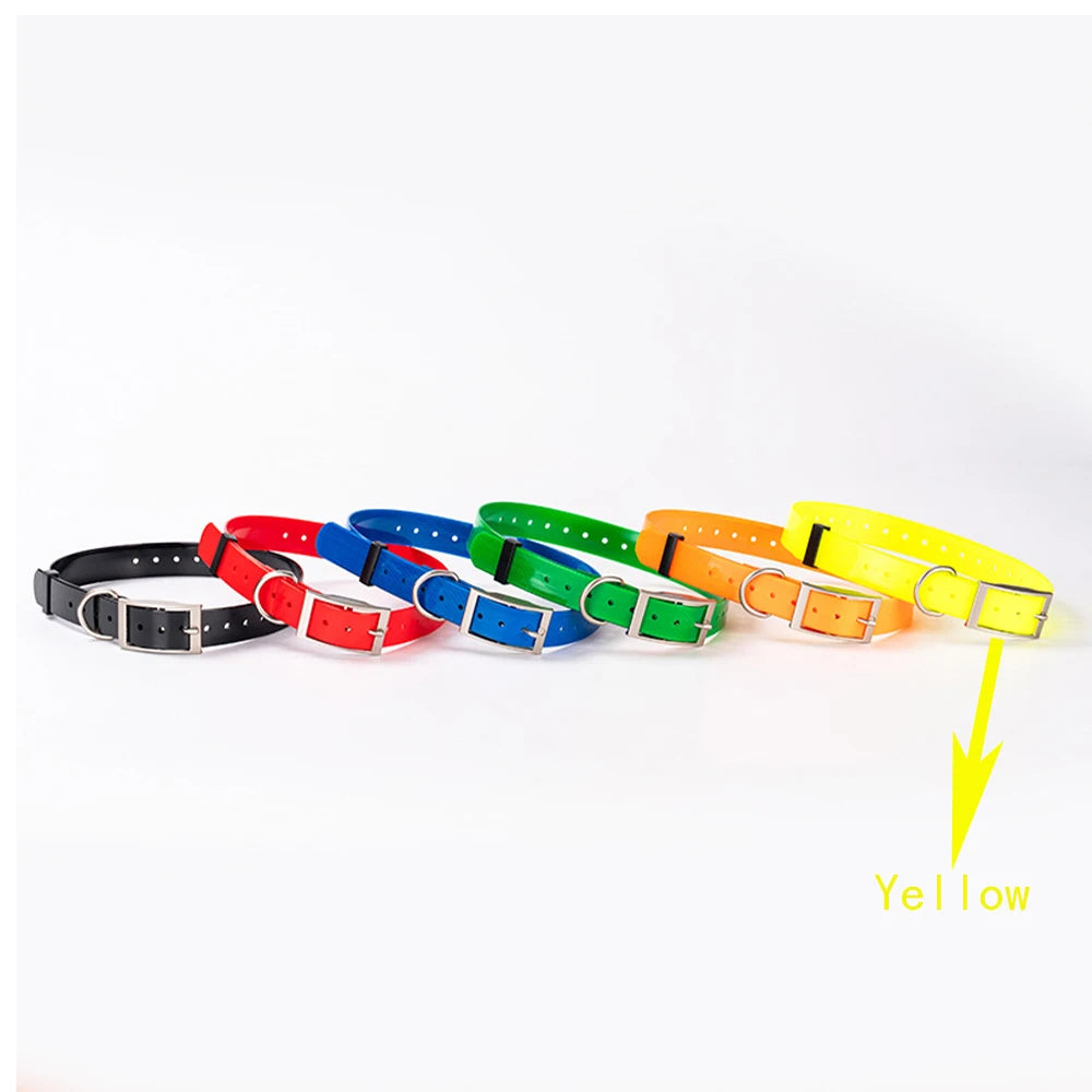 Traceur GPS 4G pour chien- Collier étanche avec géolocalisation