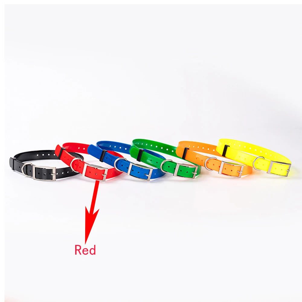 Traceur GPS 4G pour chien- Collier étanche avec géolocalisation