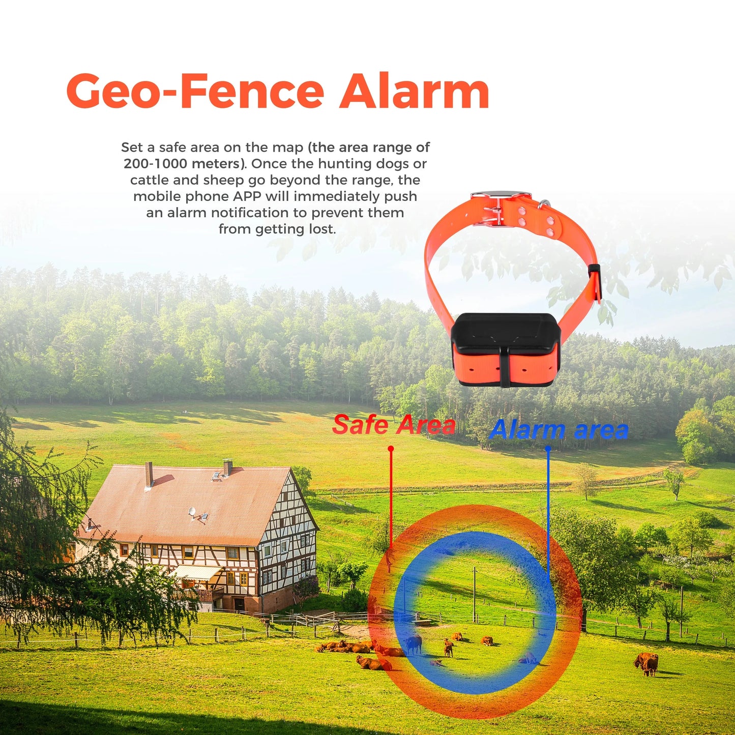 Traceur GPS 4G pour chien- Collier étanche avec géolocalisation