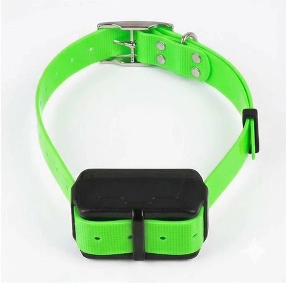 Traceur GPS 4G pour chien- Collier étanche avec géolocalisation