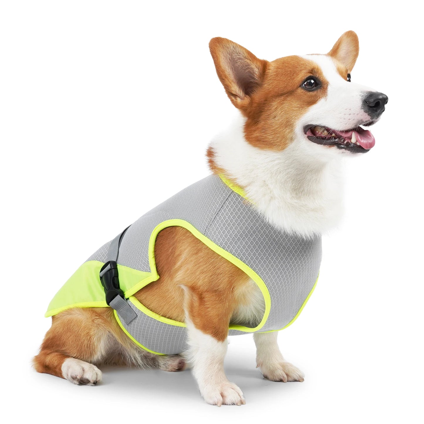 Gilet Rafraîchissant Frimousse™ — Veste Légère Anti-Chaleur pour Chien