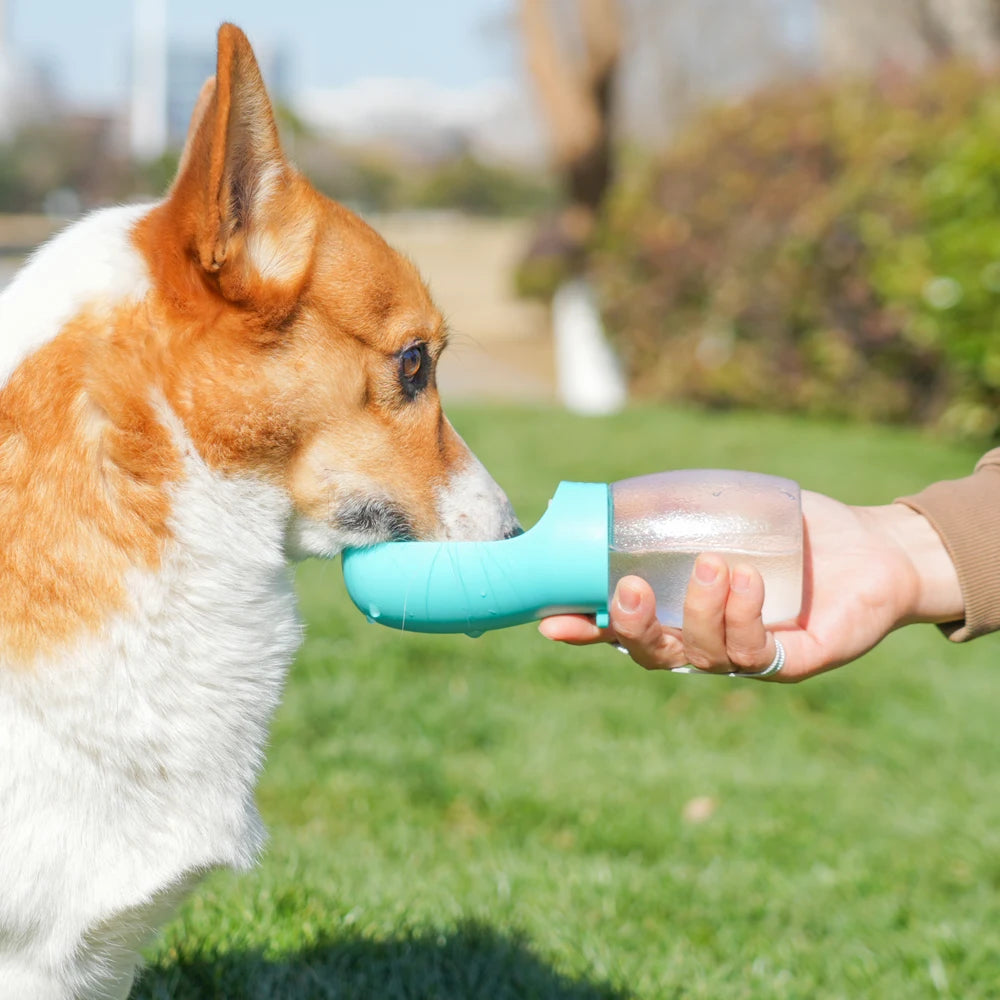 Gourde portable 300 ml pour chien et chat – Randonnée