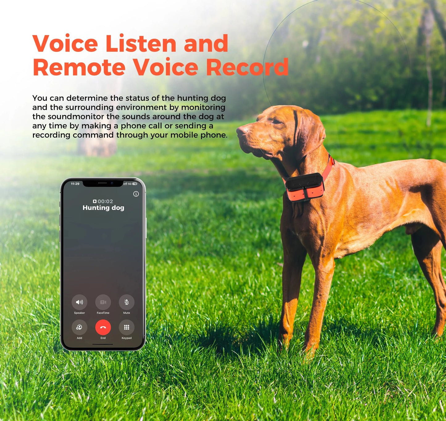 Traceur GPS 4G pour chien- Collier étanche avec géolocalisation