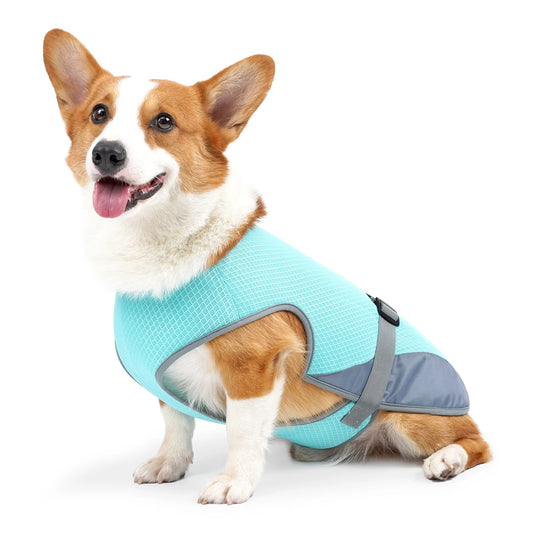 Gilet Rafraîchissant Frimousse™ — Veste Légère Anti-Chaleur pour Chien