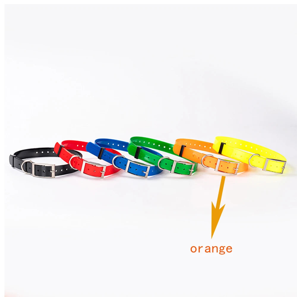 Traceur GPS 4G pour chien- Collier étanche avec géolocalisation