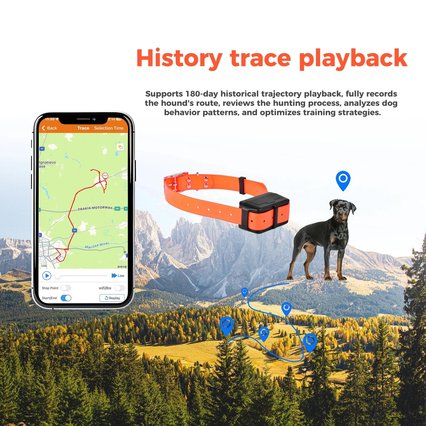 Traceur GPS 4G pour chien- Collier étanche avec géolocalisation